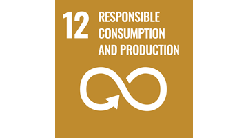 <p>Responsible consumption<br/>and production</p>
