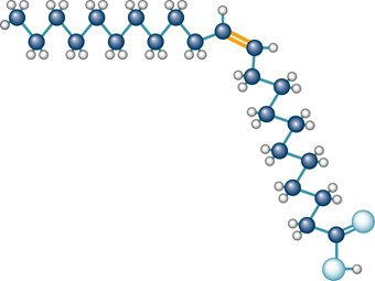Epax launches Omega-11 cetoleic acid